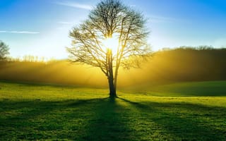 Картинка hd, sun rise, природа, солнце, подъем
