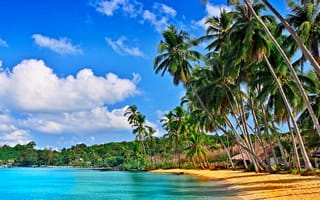 Картинка palmas, небо, море, пляж, облака, океан, тропические, песок