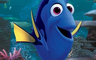 Картинка finding dory, рыба, пиксар, немо, дори