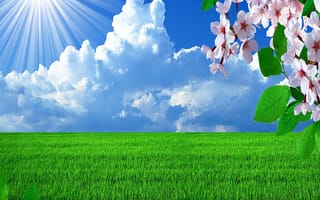 Картинка spring time, весна, время, трава, солнечный свет, цвести