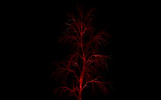 Картинка dr, love, red tree dr, любовь, крутые, красые, дерево, стиль