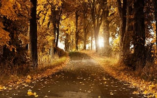 Картинка осень