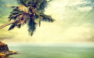 Картинка water sea, небо, вода, море, океан, винтаж, ретро, камни, пальмы