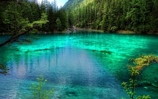 Картинка природа, прекрасные, зеленые, пейзаж, лес, деревья, озеро