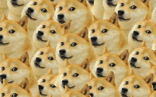 Картинка doge, шаблон, мемы