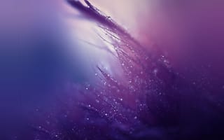 Картинка huawei, mate s, huawei mate s, капли, хуавей, стандартные, матовые, роса