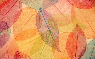Картинка transparent, цветные, осень, листья
