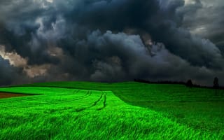 Картинка природа, пейзаж