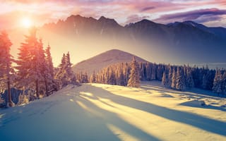 Картинка winter sun, природа, зима, снег, солнце, лес, горы, солнечный свет