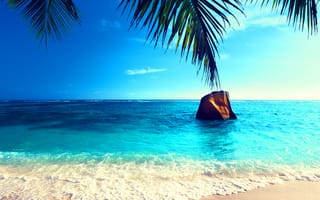 Картинка природа, море, пляж, тропические, рай, пальмы
