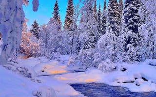 Картинка вода, зима, снег, деревья