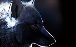 Картинка galaxy, черные, галактика, темные, белые, животные, волк