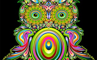 Картинка colored owl, colorful owl, абстрактные, красочные, векторные, сова, цветные