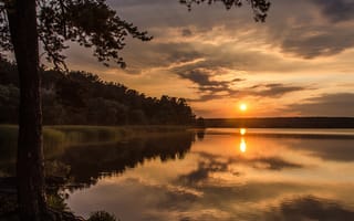 Картинка закат, солнце, лес, деревья, озеро, отражение, лучи