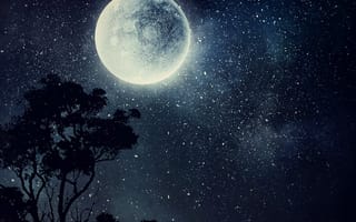 Картинка the moon, абстрактные, природа, ночь, звезды, луна, дерево, планета, лунный свет