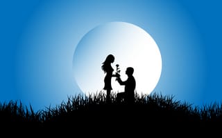 Картинка love, propose, любовь, природа, ночь, луна, пары