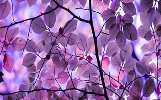 Картинка love, s7, любовь, лучшие