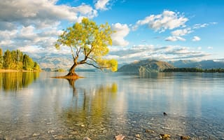 Картинка hdr, природа, небо, вода, дерево, озеро, кристалл