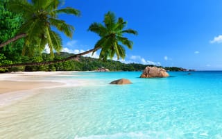 Картинка природа, синие, вода, пляж, тропические, камни, пальмы