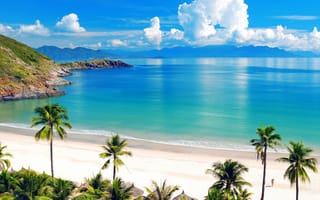 Картинка beach hd, море, пляж, лето, пальмы