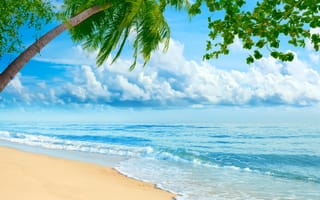 Картинка природа, тропики, пляж, море, пальма
