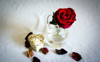 Картинка розы, ваза, красный, лепестки, шкатулка