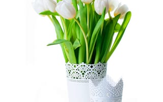 Картинка тюльпаны, белый, фон, вазы, белые, букет
