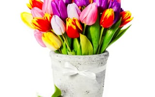 Картинка тюльпаны, ваза, букет, белый, фон