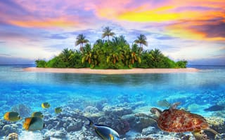Картинка maldives, природа, тропики, indian, ocean, arabian, sea, мальдивы, индийский, океан, аравийское, море, остров, морское, дно, рыбы, черепаха, кораллы, закат