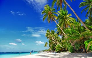 Картинка boracay island, philippines, природа, тропики, boracay, боракай, филиппины, море, пляж, пальмы, песок
