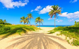 Картинка природа, тропики, пляж, берег, sea, beach, summer, sand, paradise, tropical, shore, пальмы, море, palms, песок