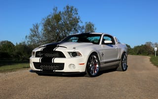 Картинка mustang, snake, super, gt500, shelby