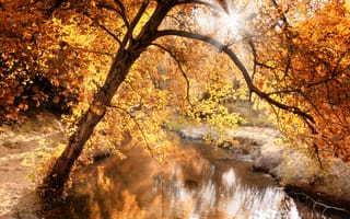 Картинка река, природа, свет, осень