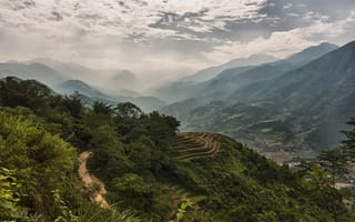 Обои лес, туман, вьетнам, горы, долина
