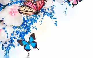Картинка butterflies, reflection, spring, flowers, water, весна, blossom, purple, tulips