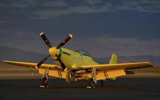 Картинка желтый, mustang, wwii, ole yeller, p-51, самолет, fighter, warbird