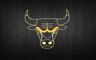 Картинка nba, золото, логотип, chicago bulls, баскетбол
