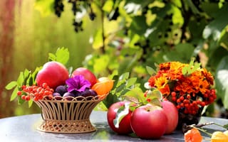 Картинка яблоки, фрукты, цветы, сливы, рябина, стол, корзина