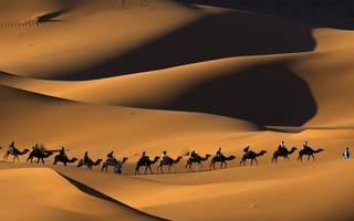 Картинка пески, сахара, пустыня, природа, верблюды, караван