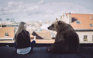 Обои девушка, медведь, ситуация