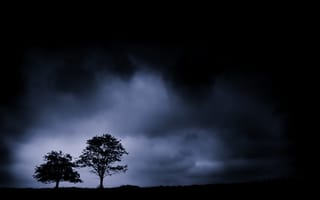 Картинка деревья, ночь, тучи