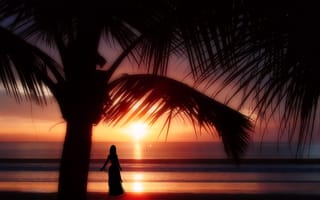 Обои океан, вечер, пляж, ожидание, девушка, пальма, закат, силуэты, берег