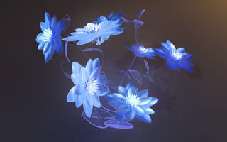 Картинка цветок, свечение, ночь, стекло, голубизна, холод, лед
