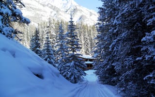 Картинка канада, зима, деревья, горы, дом, парк, снег, ель банф