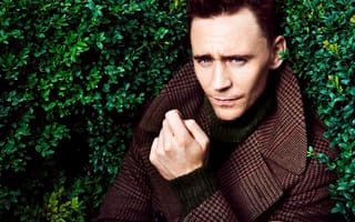 Обои tom hiddleston, пальто, том хиддлстон, актер, мужчина, кусты