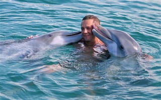 Картинка дельфинарий, мужчина, дружба, дельфины