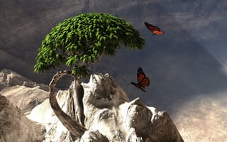 Картинка дерево, скалы, бабочки