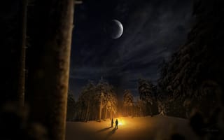 Картинка ночь, лес3д, луна