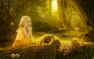 Картинка девочка, лес, паутина, бабочки, роса