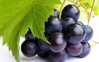 Картинка еда, виноград, гроздь, иссиня-фиолетовый, зеленый, ягода, кисть, лист